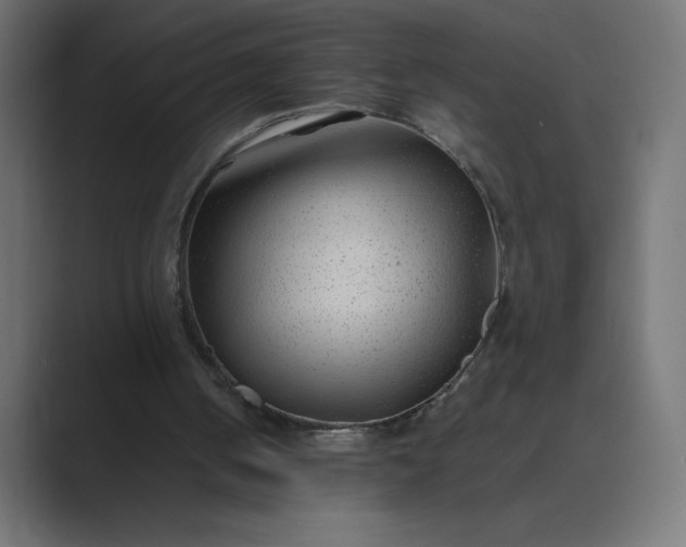 X0000089360050200706291049