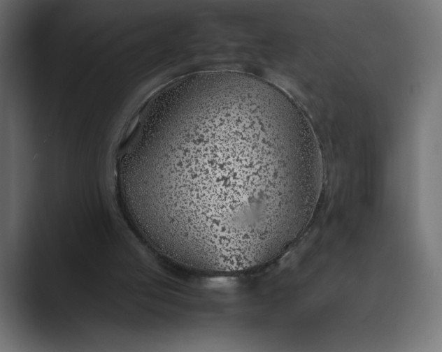 X0000089360053200706291049