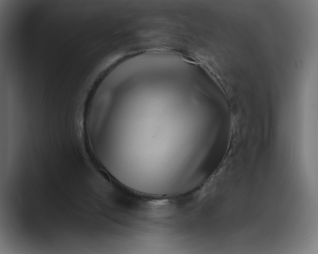 X0000089360054200706291049