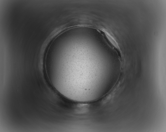 X0000089360055200706291049