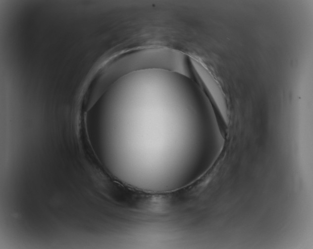 X0000089360056200706291049