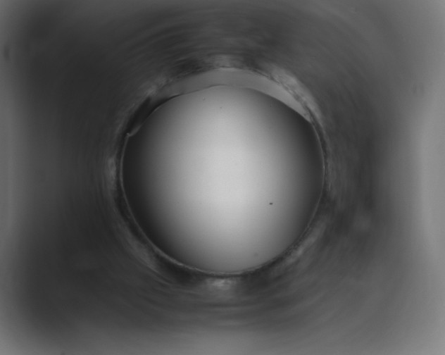 X0000089360057200706291049