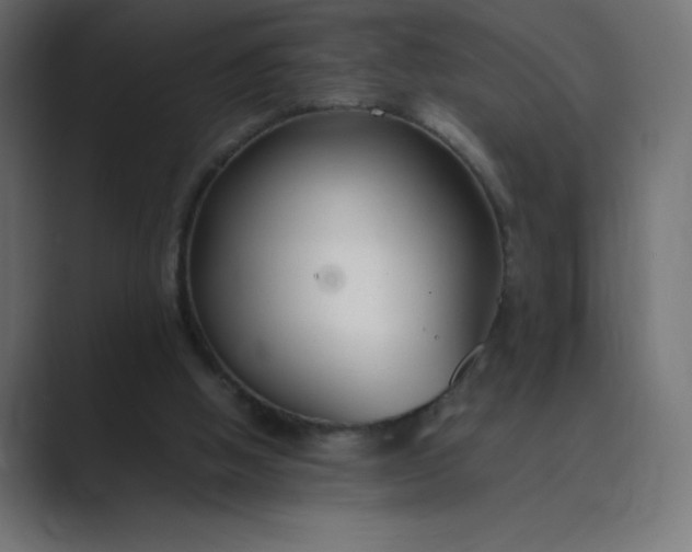 X0000089360058200706291049