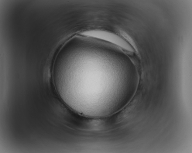 X0000089360059200706291049