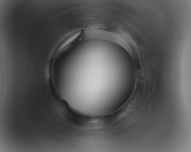 X0000089360060200706291049