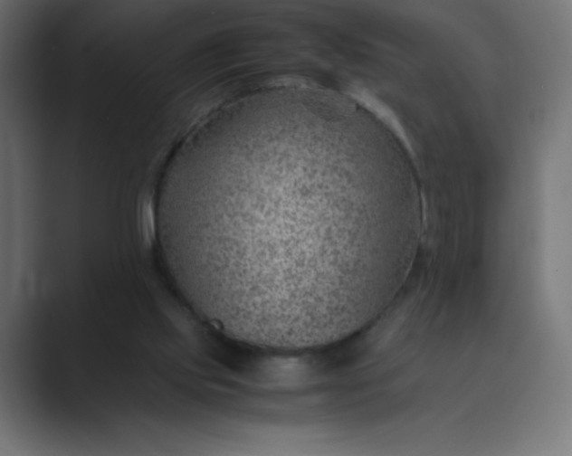 X0000089360061200706291049