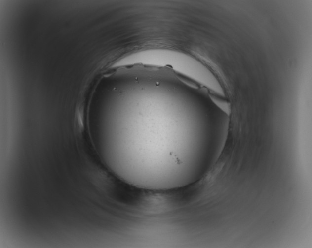 X0000089360062200706291049