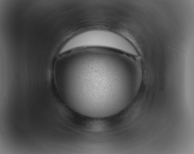 X0000089360063200706291049