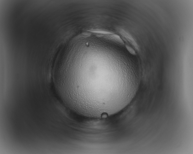 X0000089360065200706291050