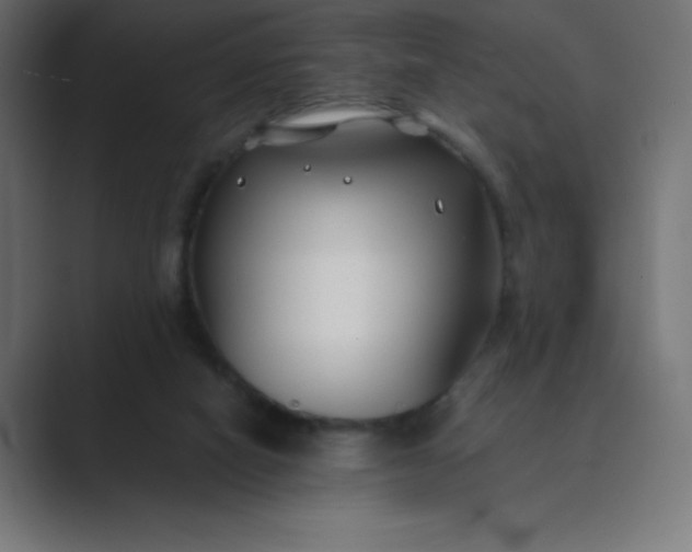 X0000089360066200706291050