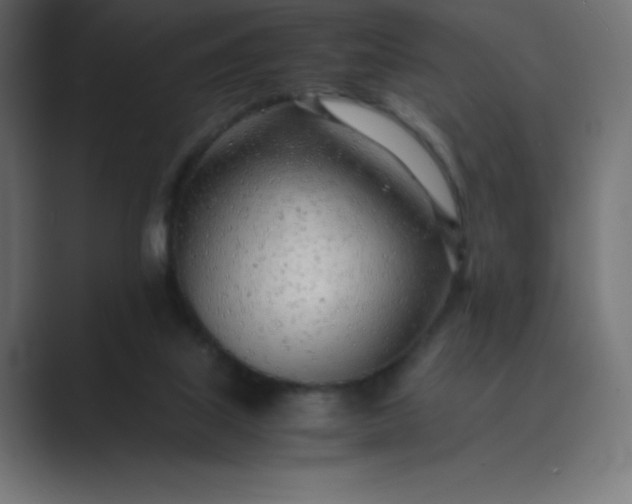 X0000089360067200706291050