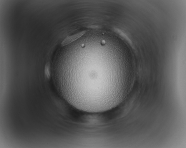 X0000089360069200706291050