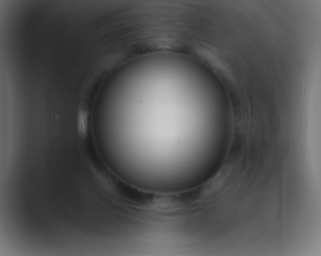 X0000089360070200706291050