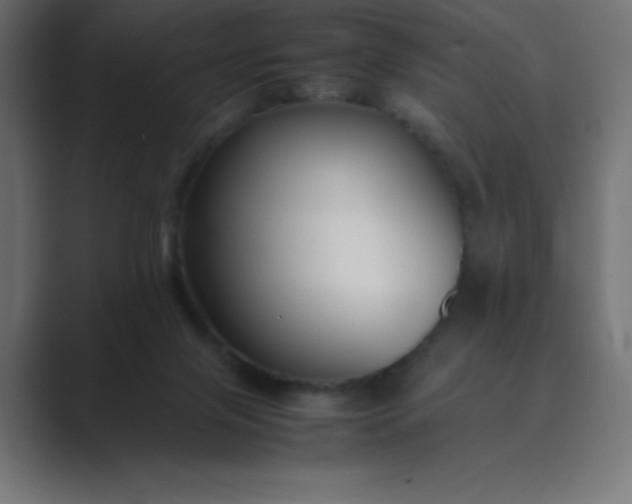 X0000089360071200706291050