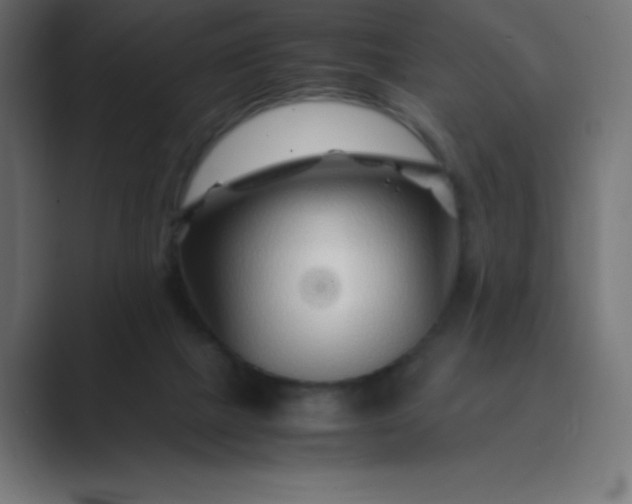 X0000089360073200706291050