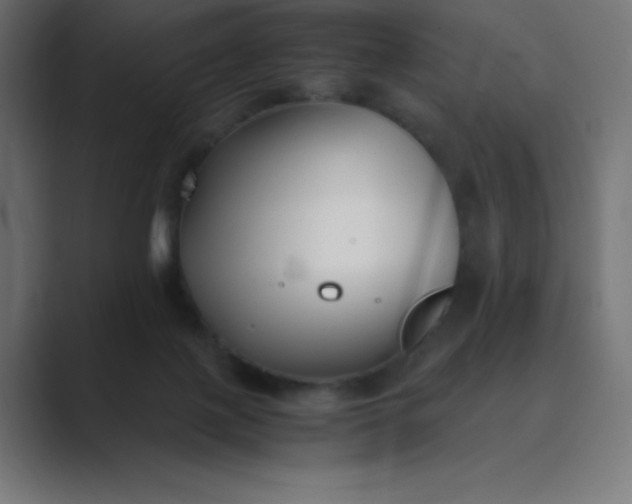 X0000089360075200706291050