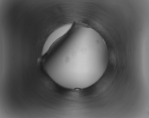 X0000089360076200706291050