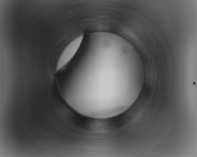 X0000089360077200706291050