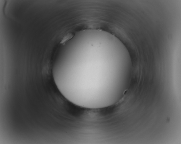 X0000089360078200706291050