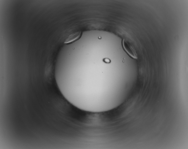 X0000089360079200706291050