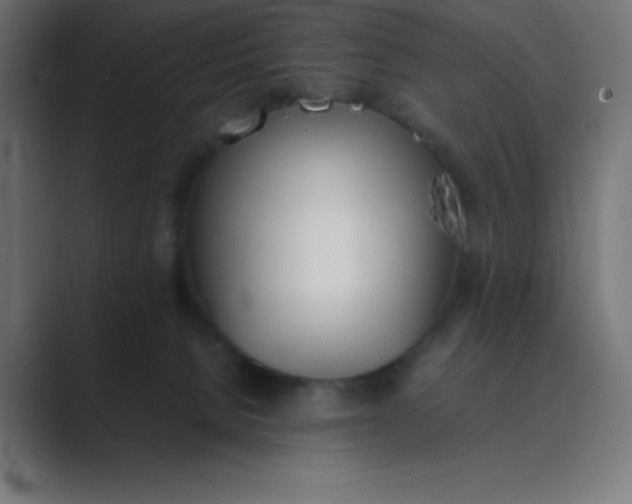 X0000089360080200706291050