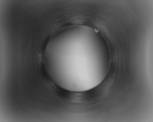 X0000089360081200706291050