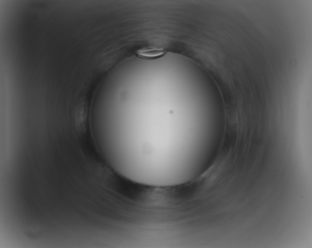 X0000089360082200706291050