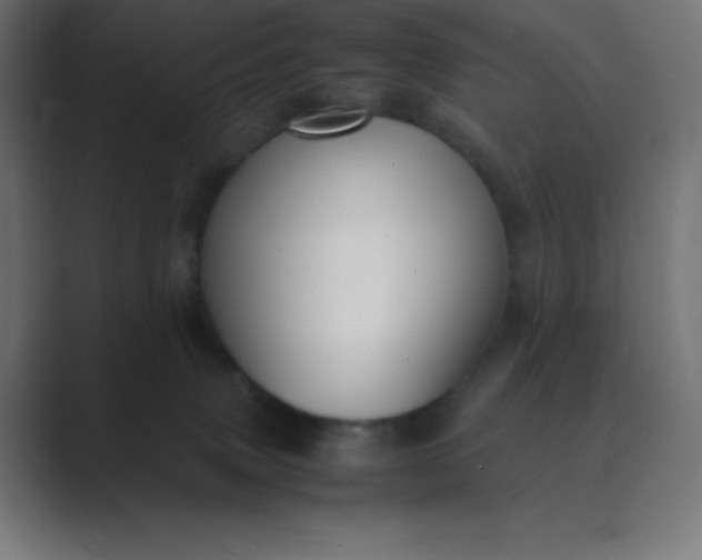 X0000089360083200706291050