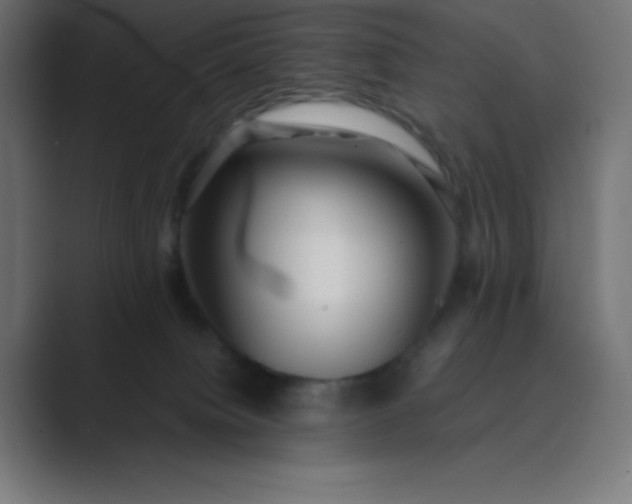 X0000089360084200706291050