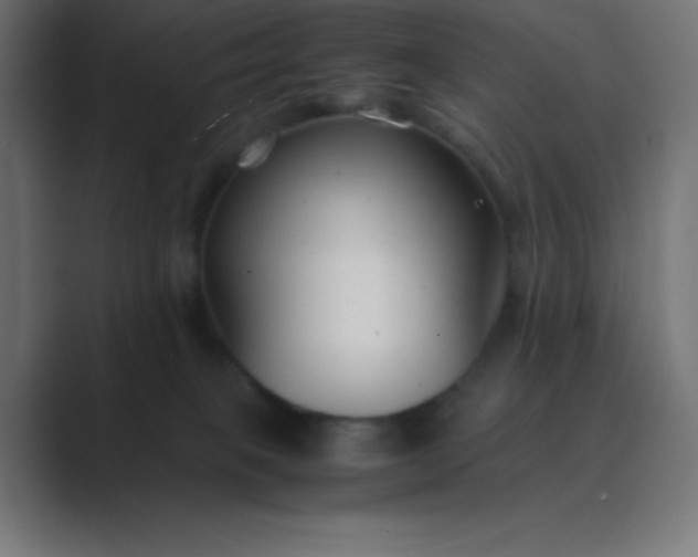 X0000089360085200706291050