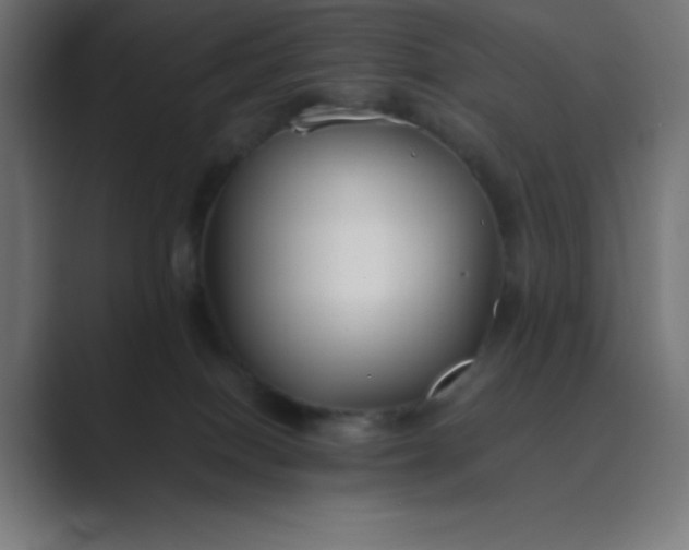 X0000089360086200706291050