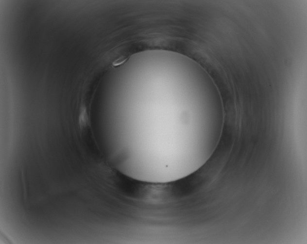 X0000089360089200706291050