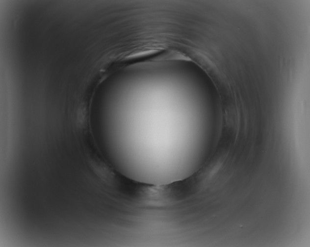 X0000089360092200706291050