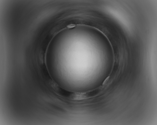 X0000089360093200706291050