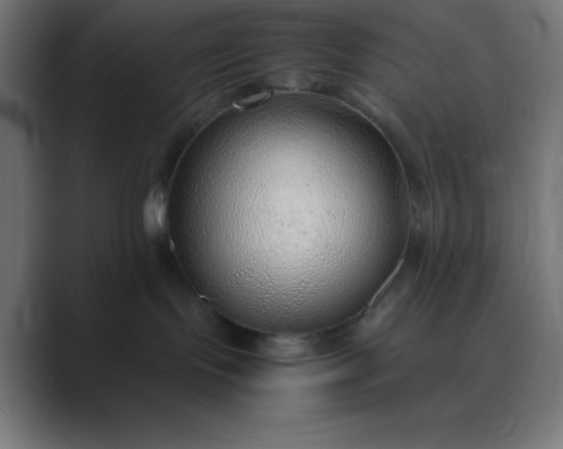 X0000089360095200706291050