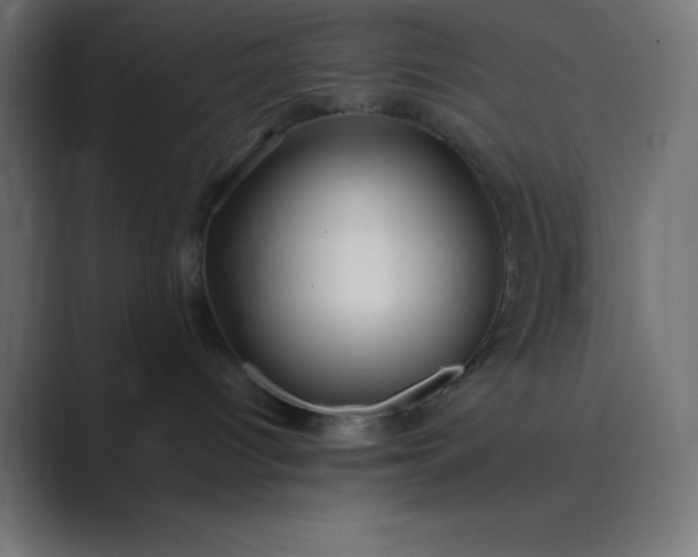 X0000089360096200706291050