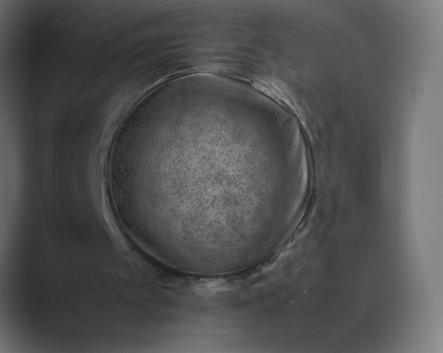 X0000089360097200706291049