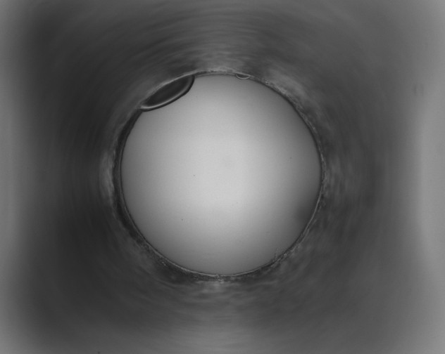 X0000089360098200706291049