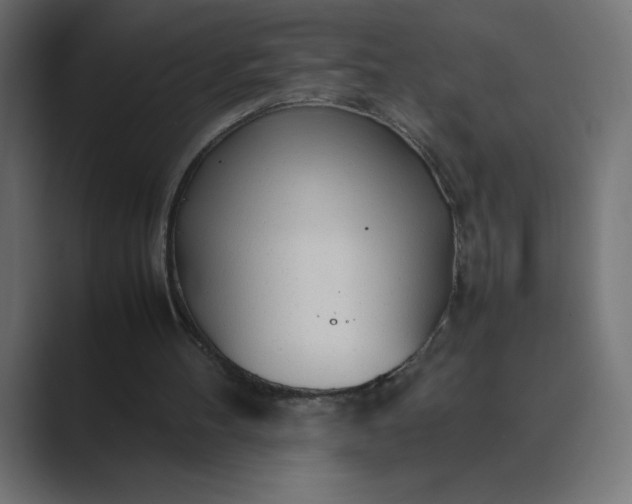 X0000089360100200706291049