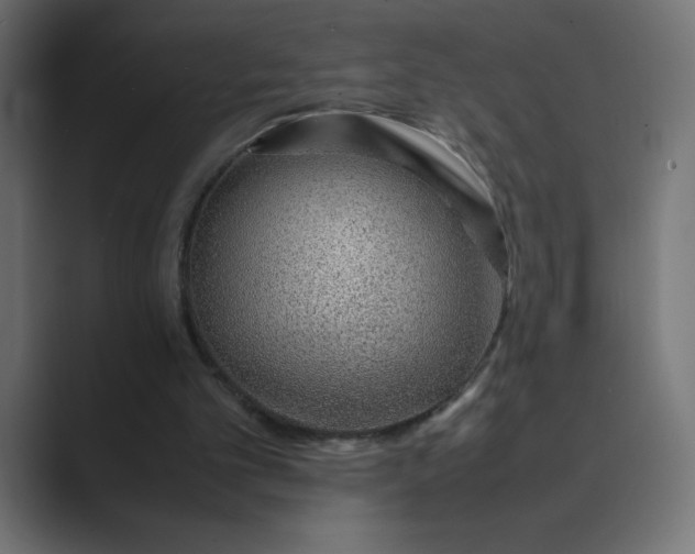 X0000089360101200706291049