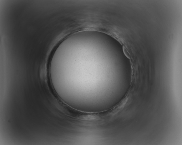 X0000089360102200706291049