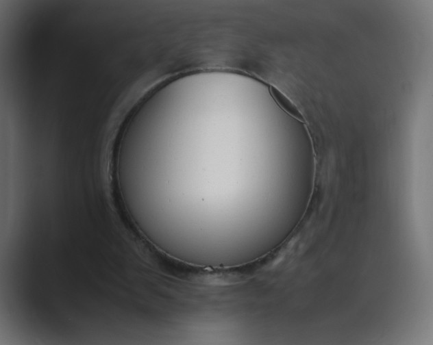 X0000089360103200706291049