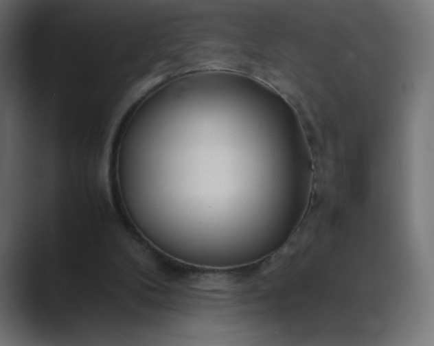 X0000089360104200706291049