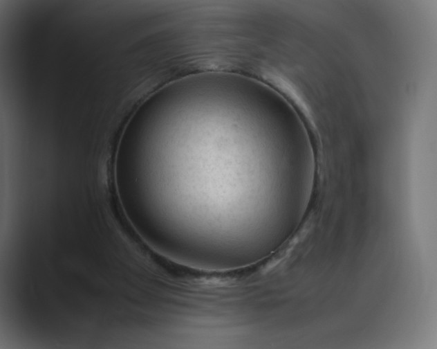 X0000089360105200706291049