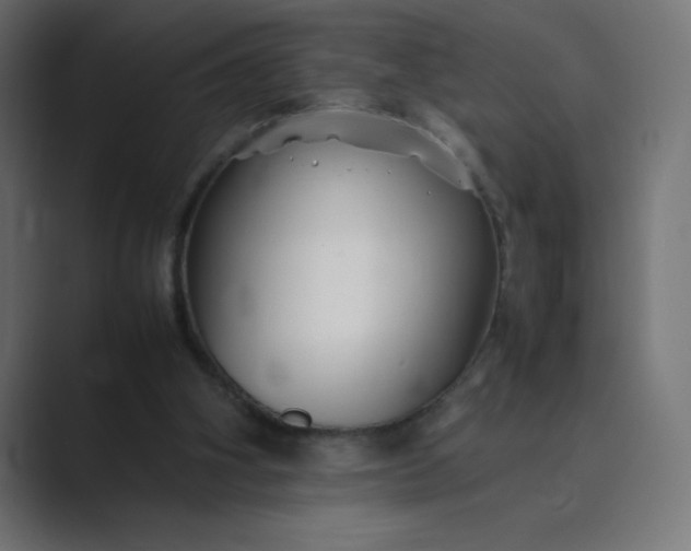 X0000089360106200706291049