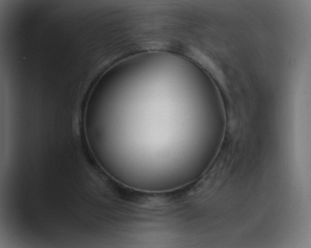 X0000089360107200706291049