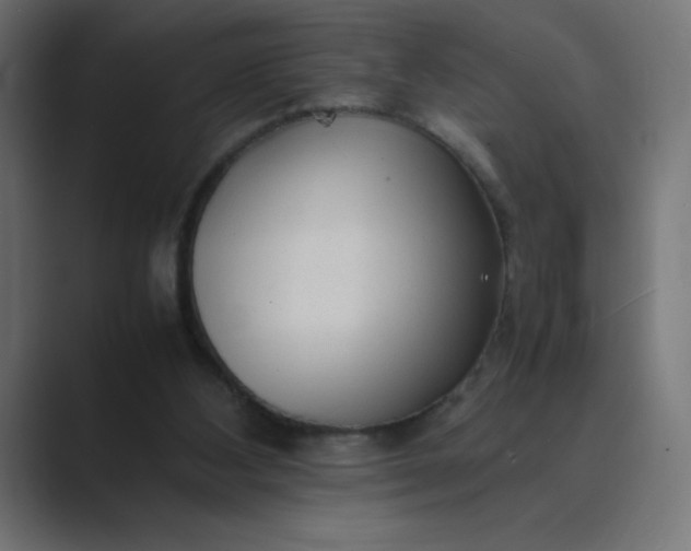 X0000089360108200706291049