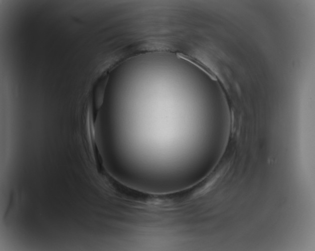 X0000089360109200706291049