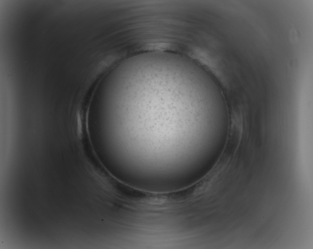 X0000089360110200706291049