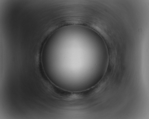 X0000089360111200706291049